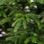 0800410_2 0800410_2
